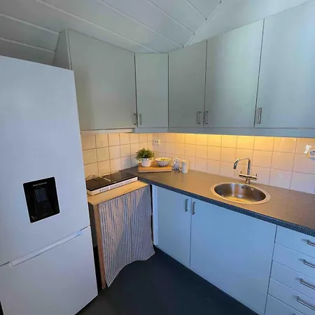 Apartment With A Loft In The Middle Of Center